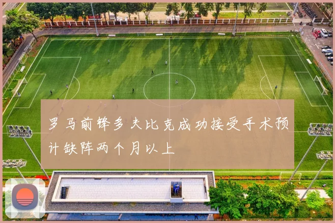 罗马前锋多夫比克成功接受手术预计缺阵两个月以上