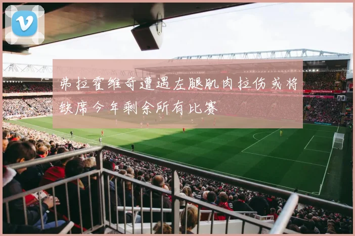 弗拉霍维奇遭遇左腿肌肉拉伤或将缺席今年剩余所有比赛